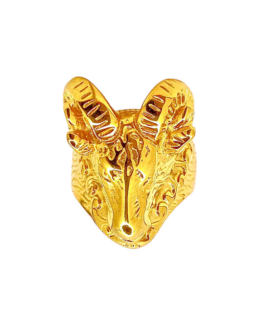 Anillo FerLucy